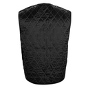 Fly Racing Cooling Vest - Back