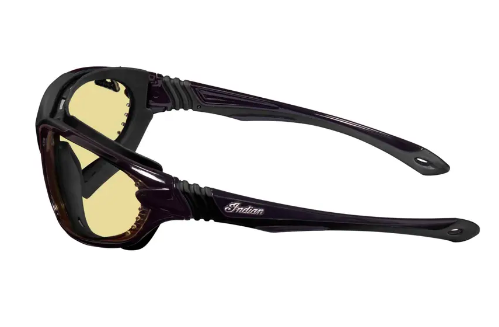 Indian Denton Sunglasses