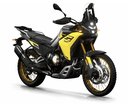 VOGE DS800 Rally Bike