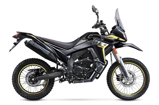 [VG-LLCLGN1G3SX103465] VOGE GY300 Rally Bike